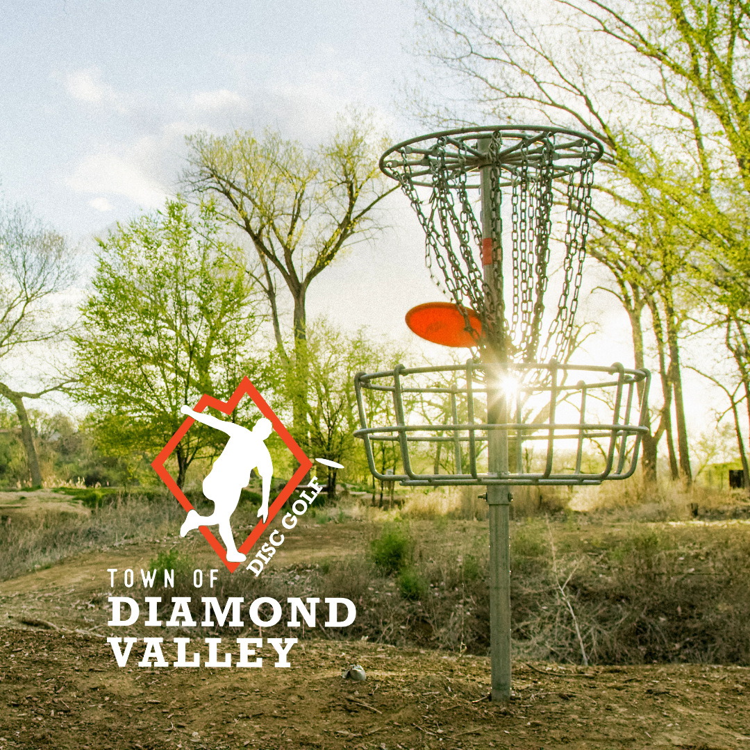 Disc Golf basket etc (1080 x 1080 px) (1)