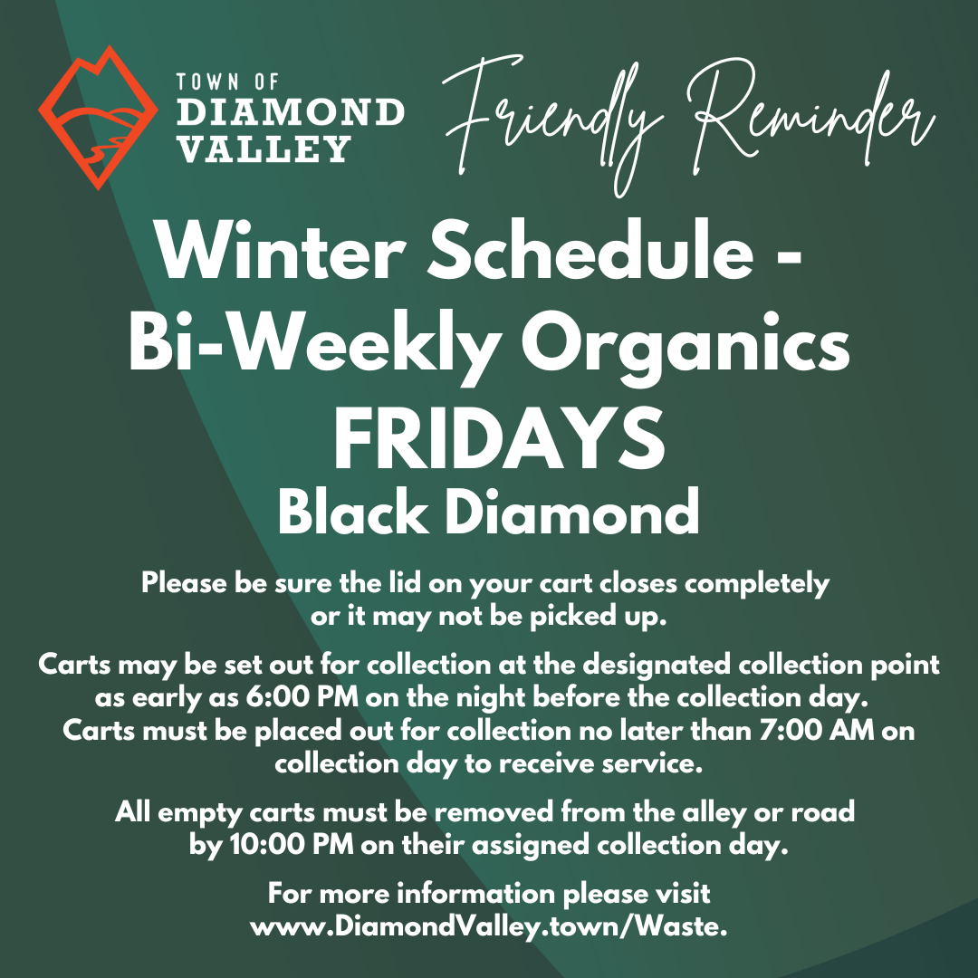 Winter Organics - BD (1080 x 1080 px)