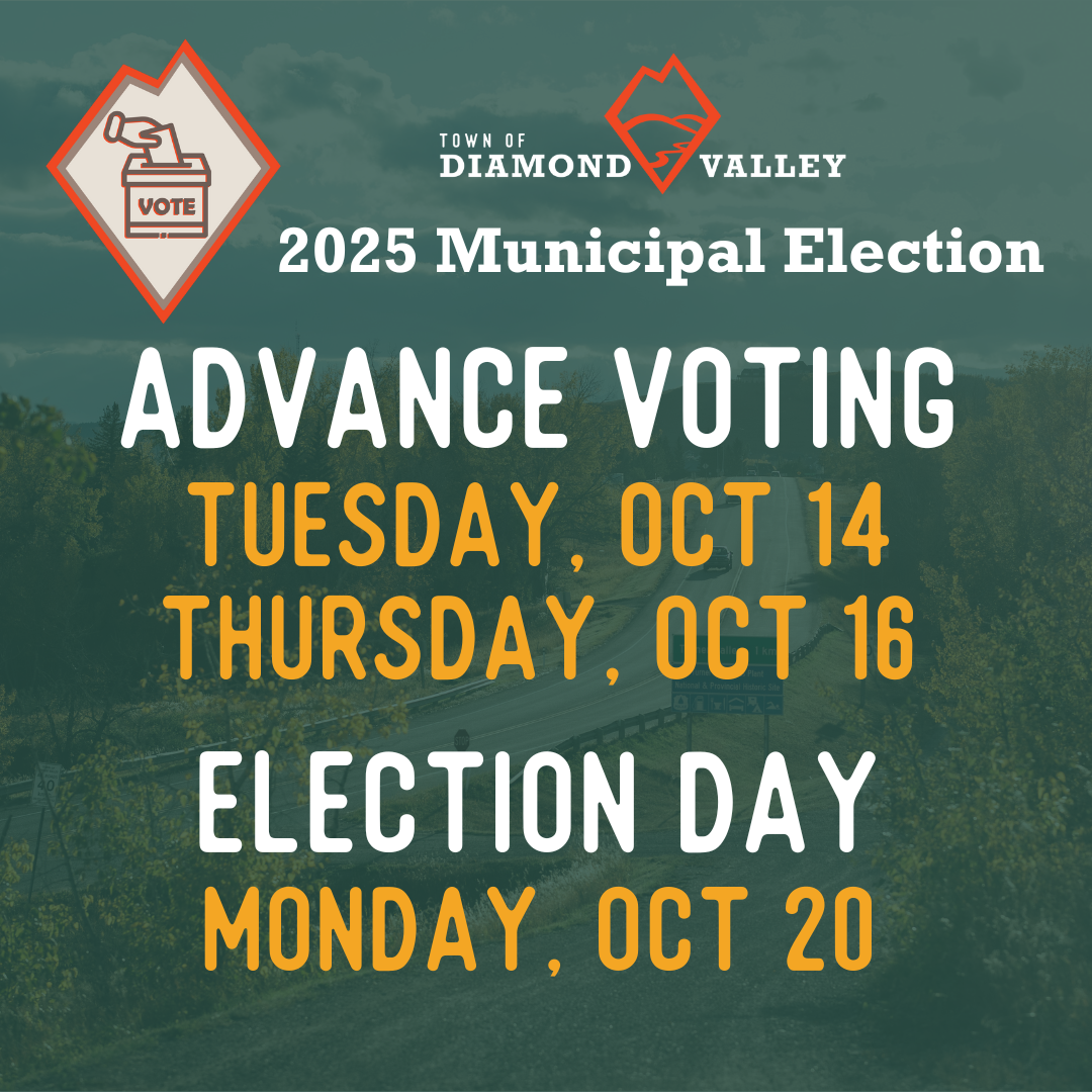 Vote Days (1080 x 1080 px)