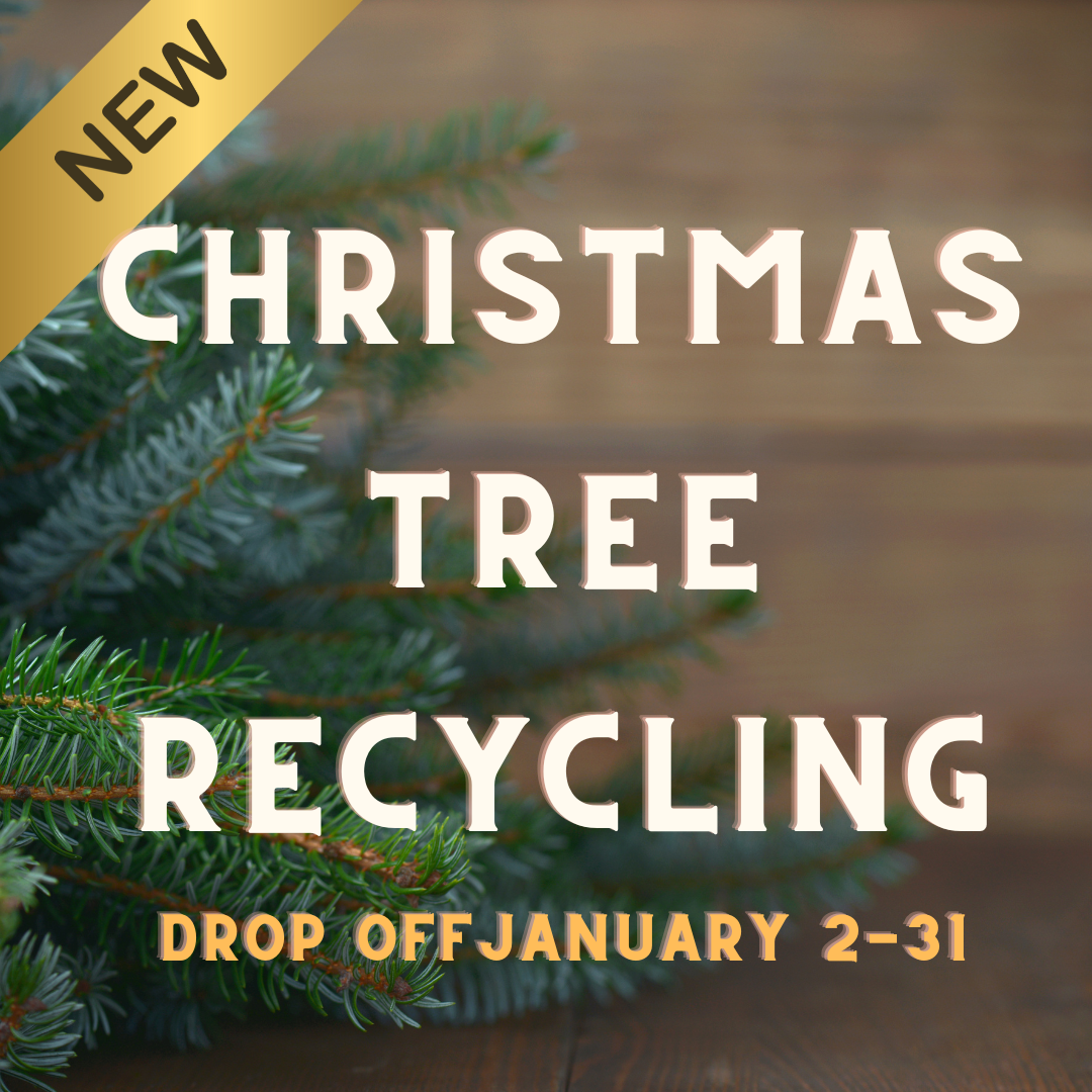 Christmas Trees - Curbside Pickup square